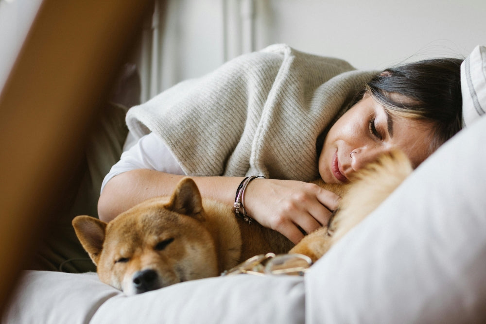 The Art of Sleep: Humans vs The Animal Kingdom